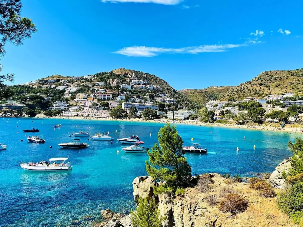 Location de Vacances Roses 1153