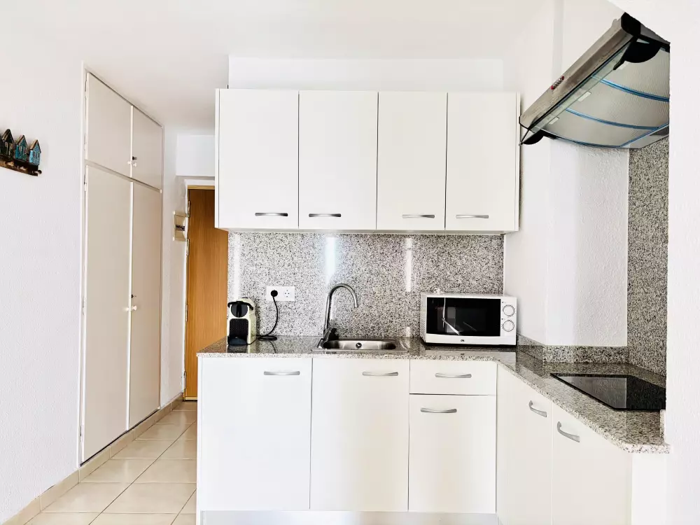 Location de Vacances Roses 1217