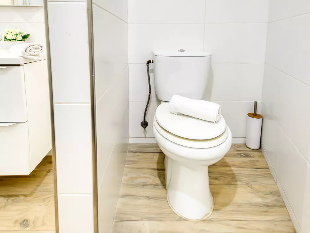 Location de Vacances Roses 1243