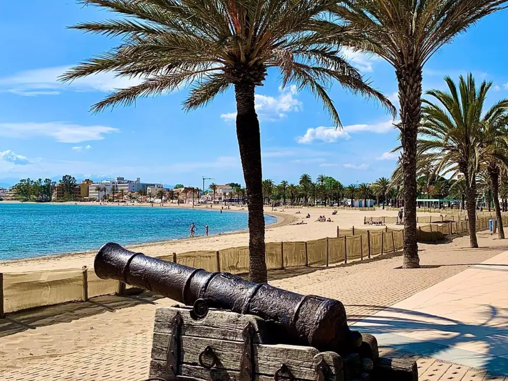 Location de Vacances Roses 1243