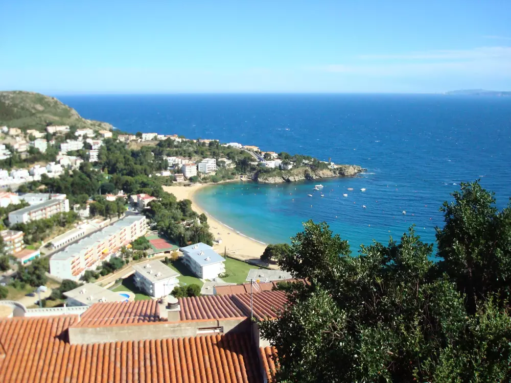 Location de Vacances Roses 1243