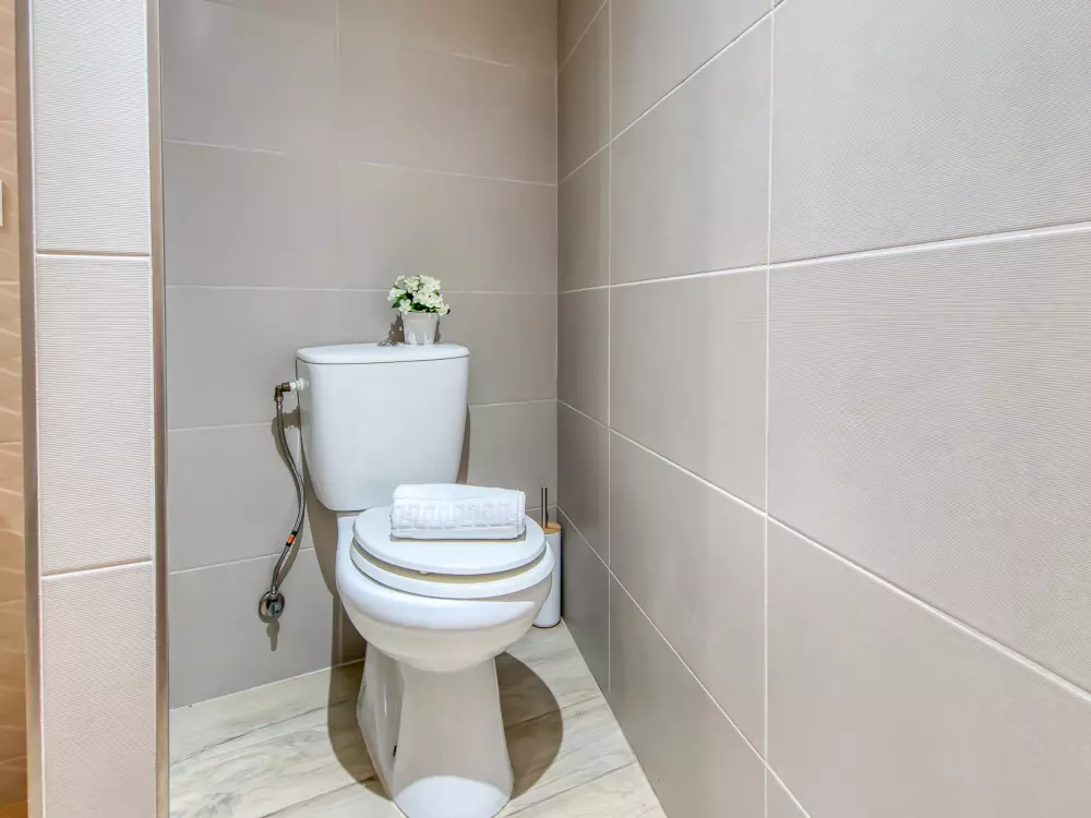 Location de Vacances Roses 1243