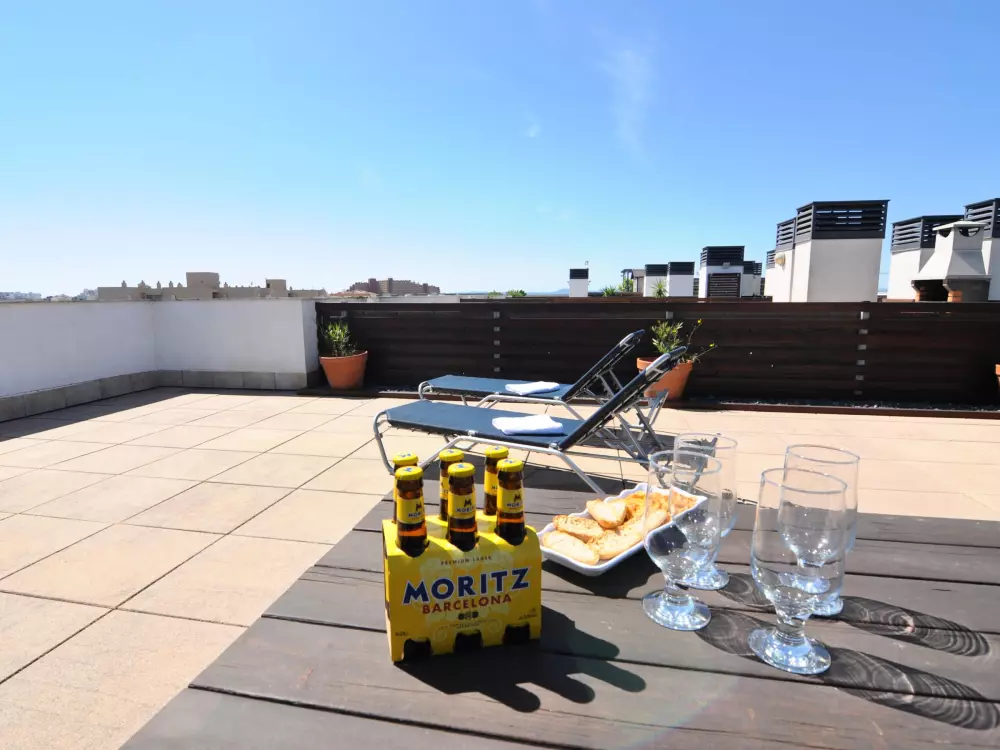 Location de Vacances Roses 474