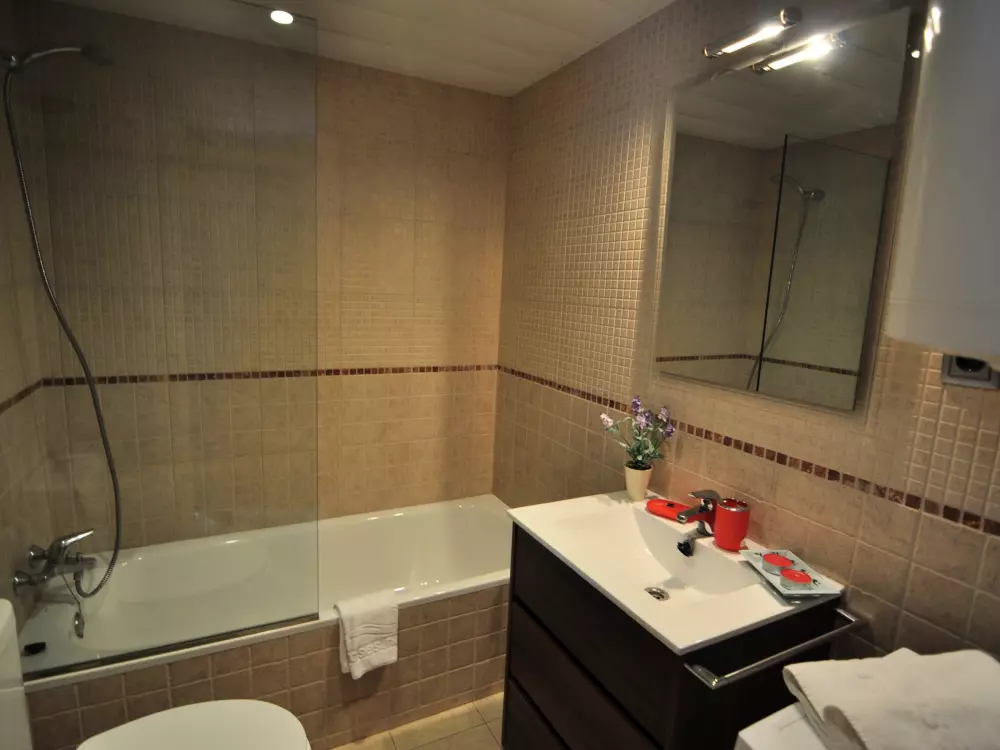 Location de Vacances Roses 474