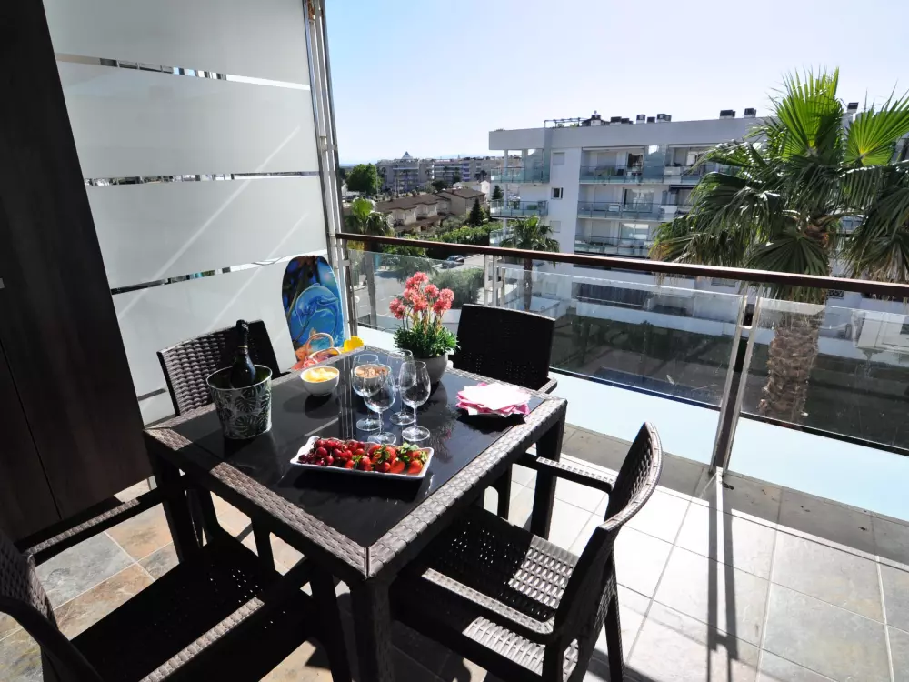 Location de Vacances Roses 480