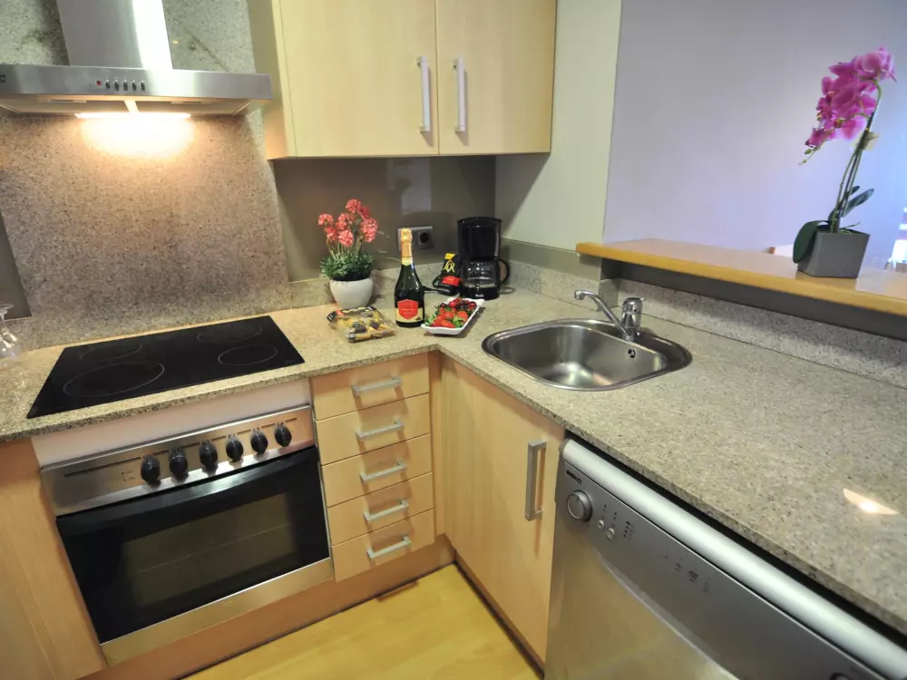 Location de Vacances Roses 480