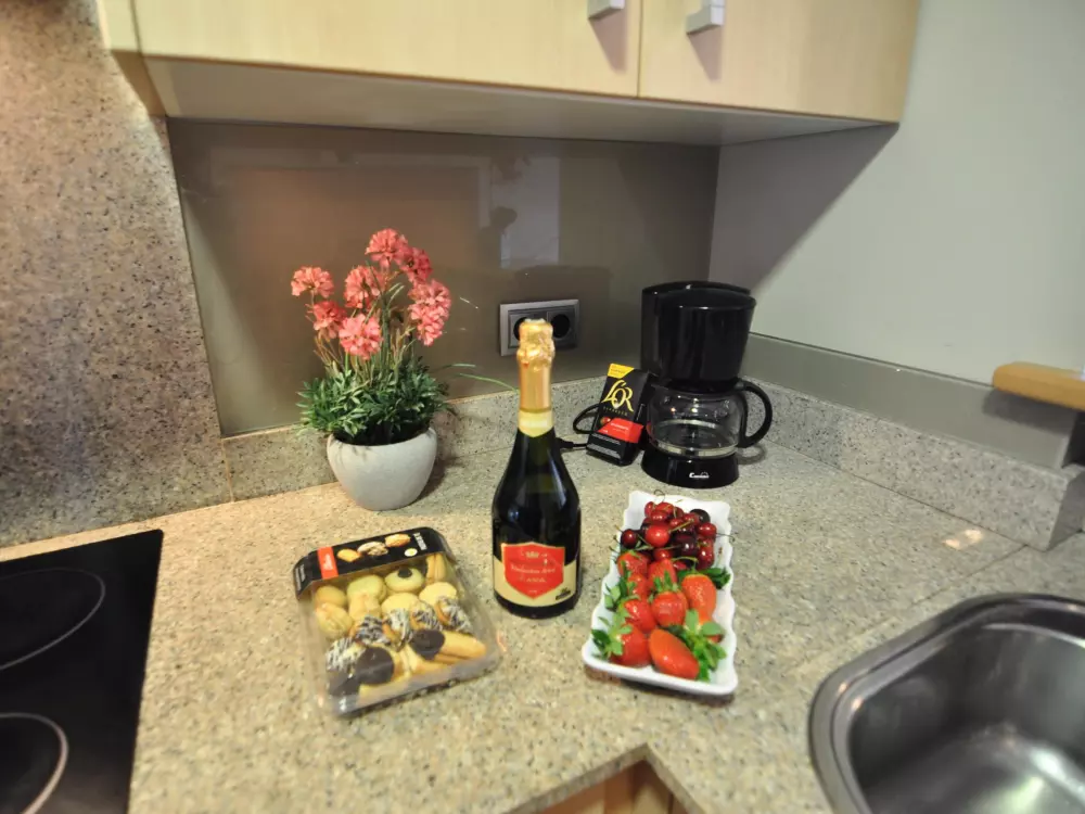 Location de Vacances Roses 480