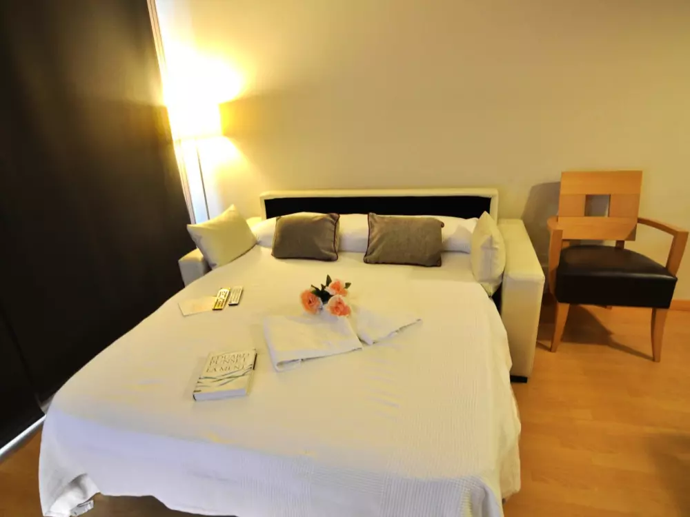 Location de Vacances Roses 480