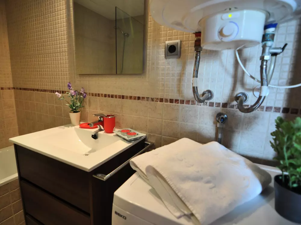 Location de Vacances Roses 480