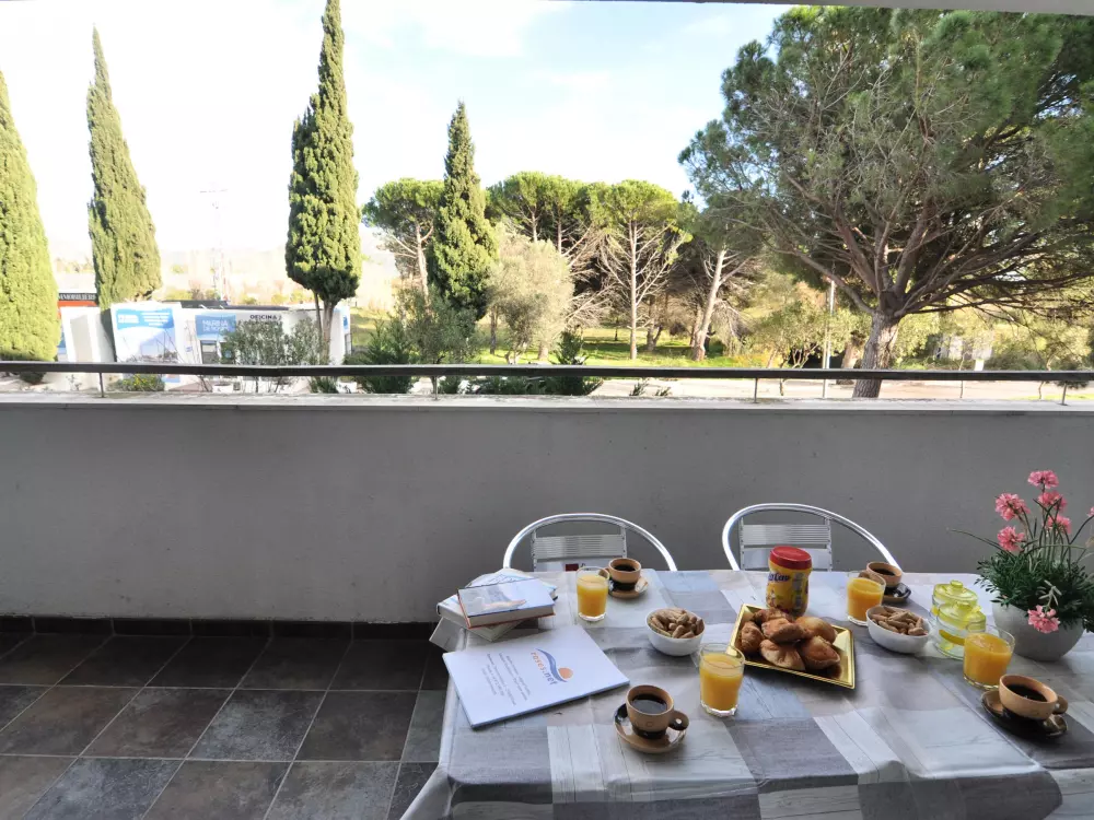 Location de Vacances Roses 508