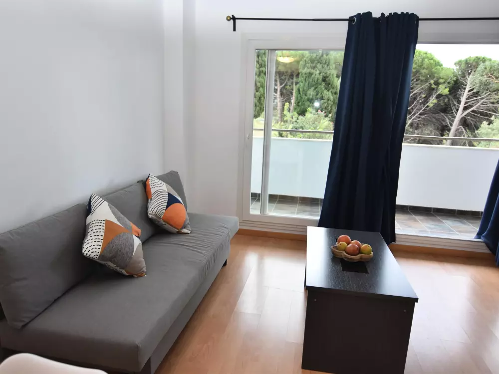 Location de Vacances Roses 508