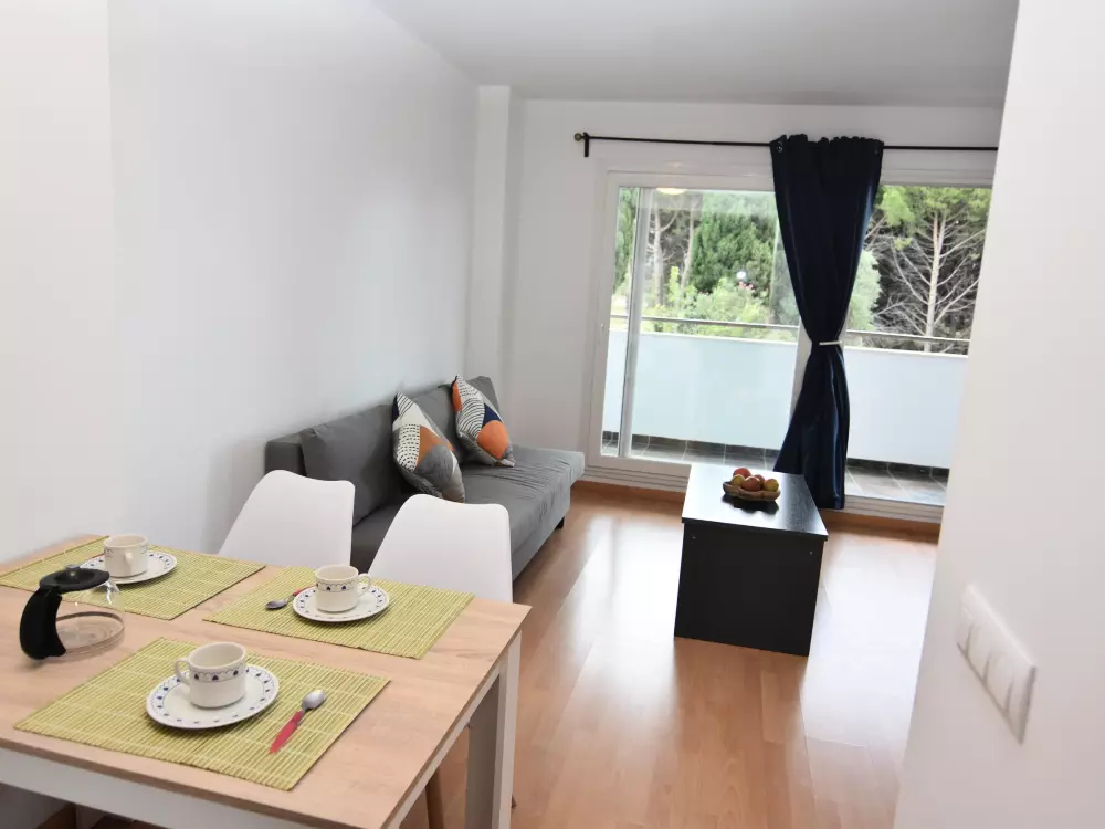 Location de Vacances Roses 508