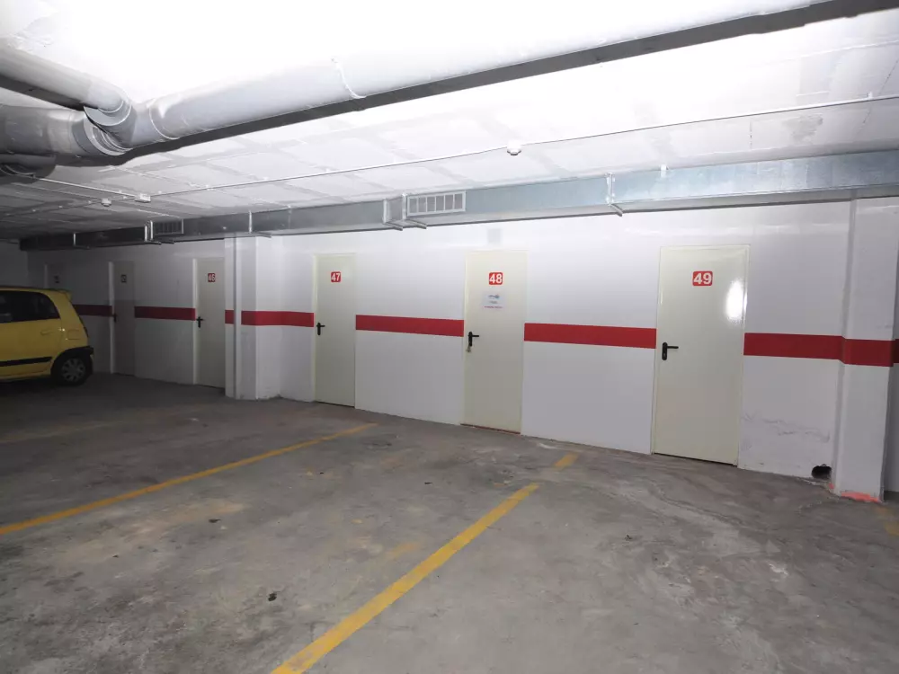 Location de Vacances Roses 508