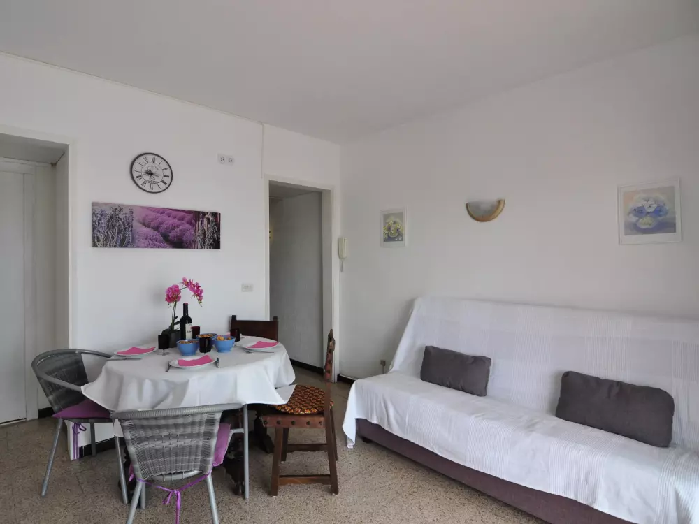 Location de Vacances Roses 519