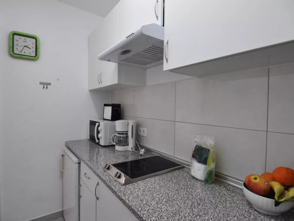 Location de Vacances Roses 519