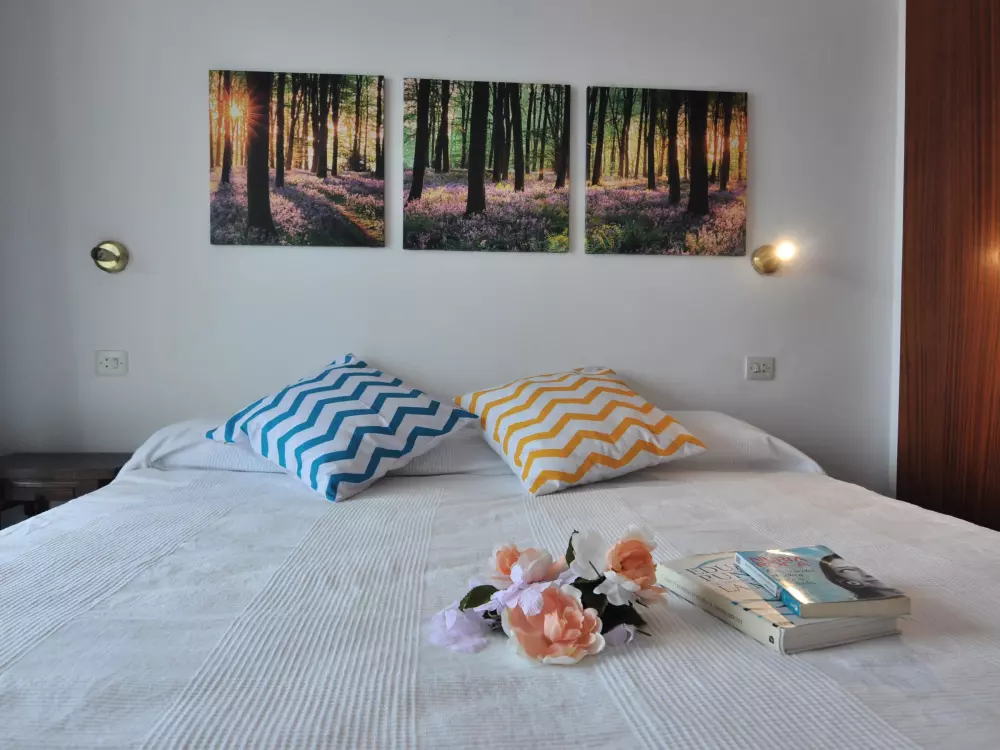 Location de Vacances Roses 519