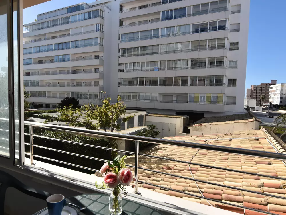 Location de Vacances Roses 525