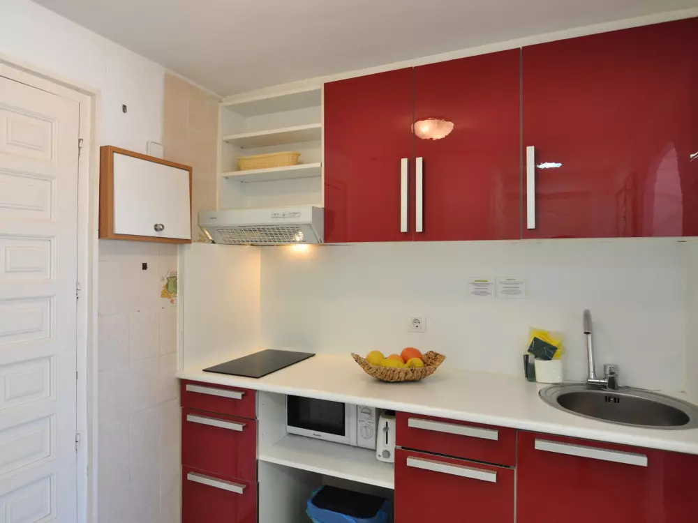 Location de Vacances Roses 525