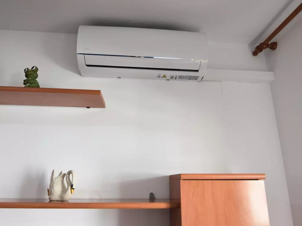 Location de Vacances Roses 544