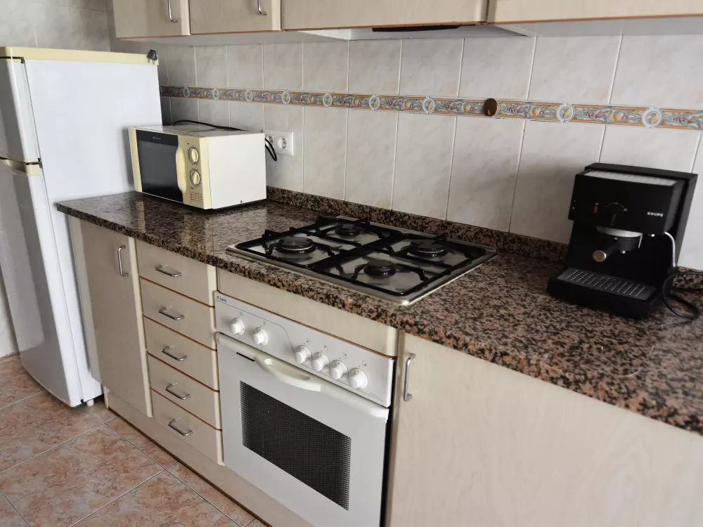 Location de Vacances Roses 544