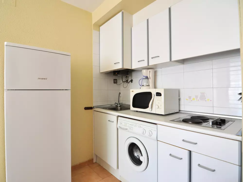 Location de Vacances Roses 552