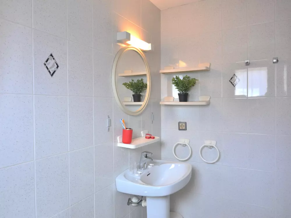 Location de Vacances Roses 552