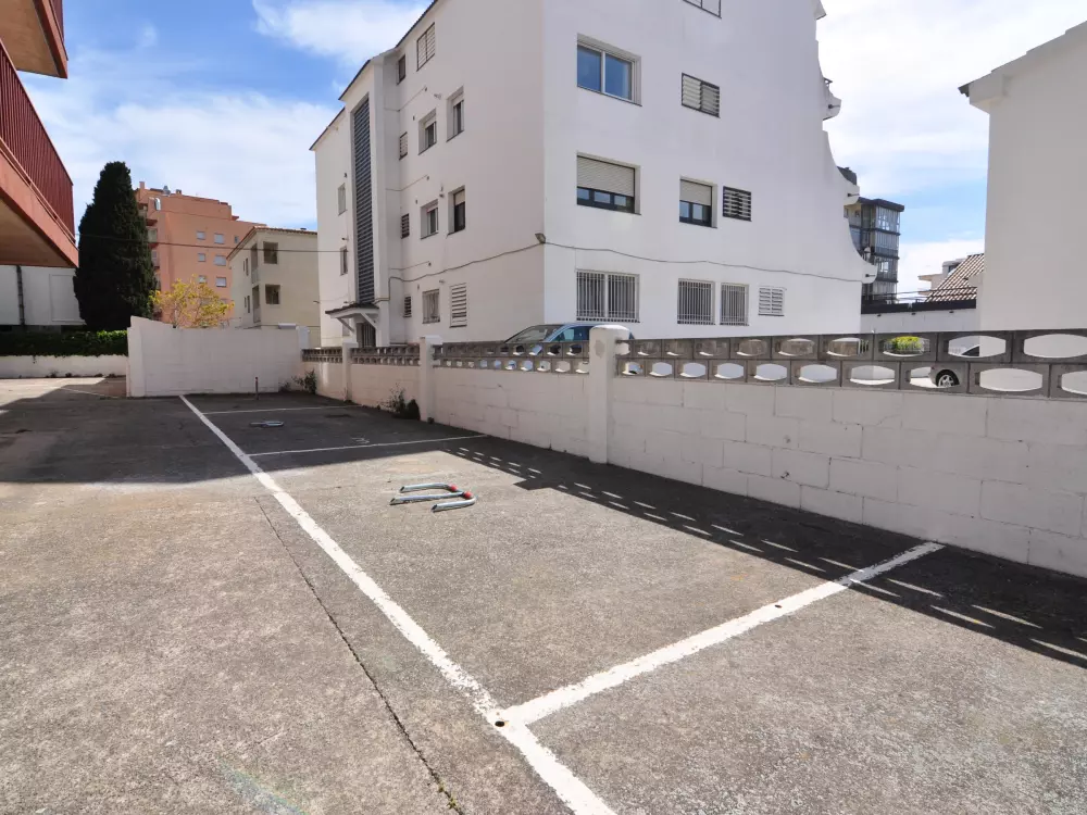 Location de Vacances Roses 552