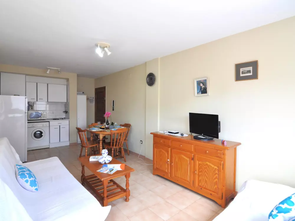 Location de Vacances Roses 552