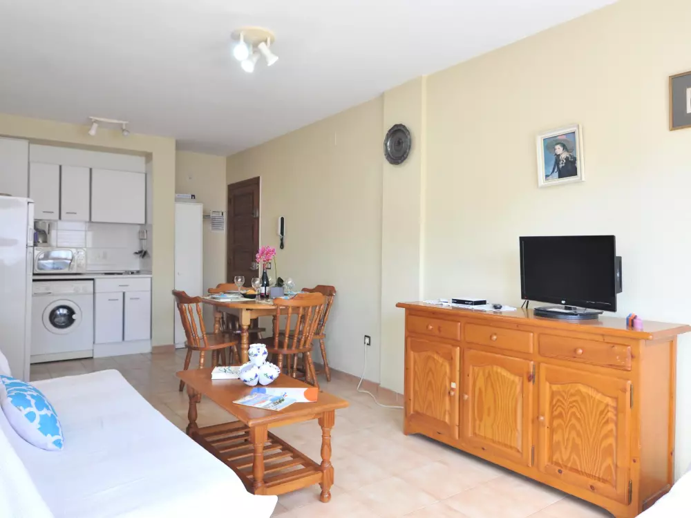 Location de Vacances Roses 552