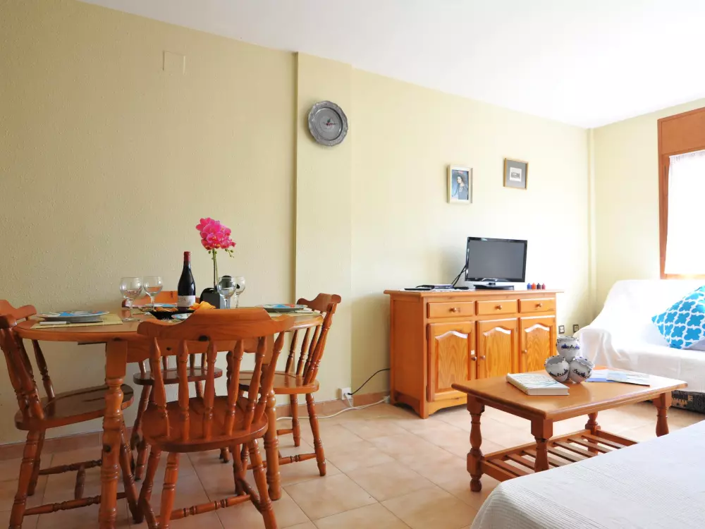 Location de Vacances Roses 552