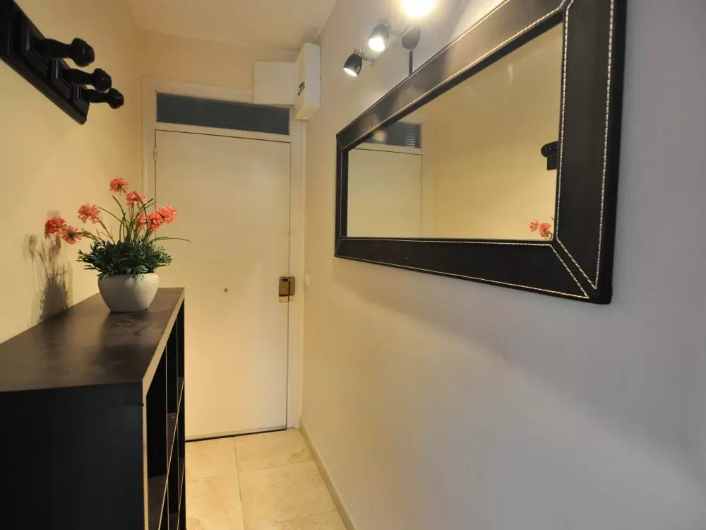 Location de Vacances Roses 561