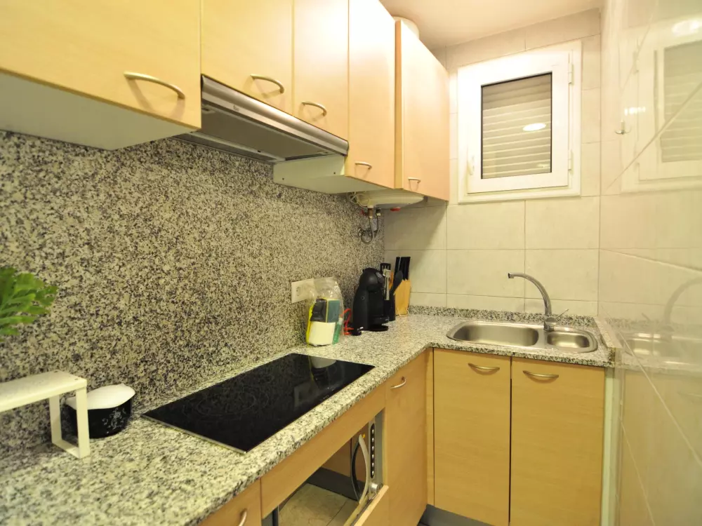 Location de Vacances Roses 561