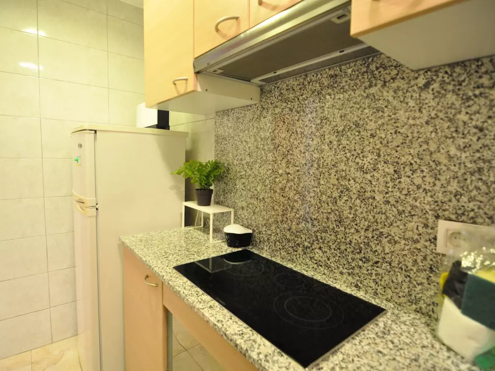 Location de Vacances Roses 561