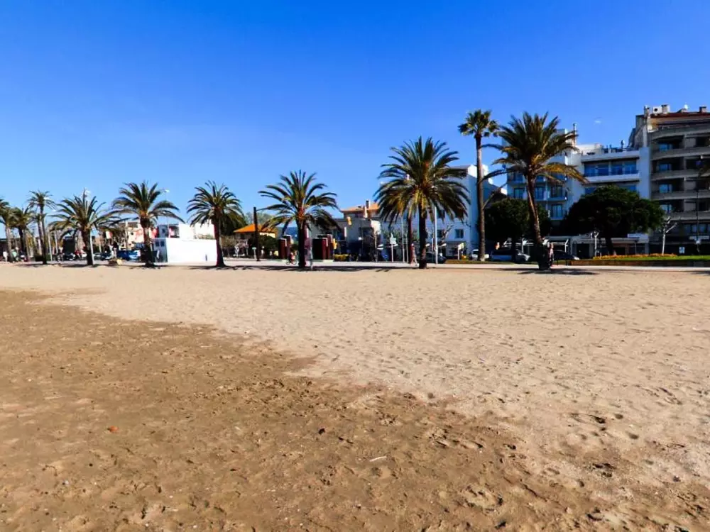 Location de Vacances Roses 561