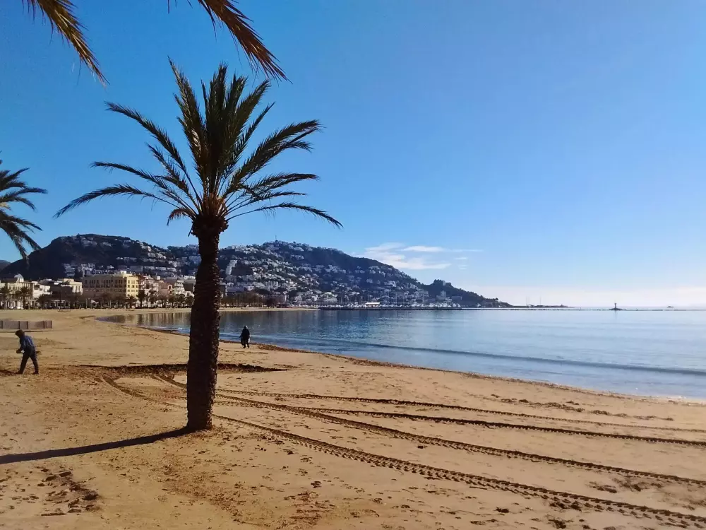 Location de Vacances Roses 561