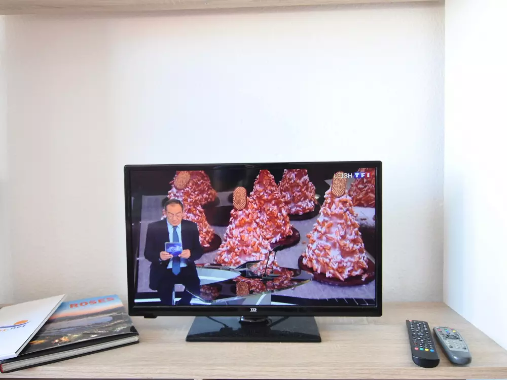 Location de Vacances Roses 565