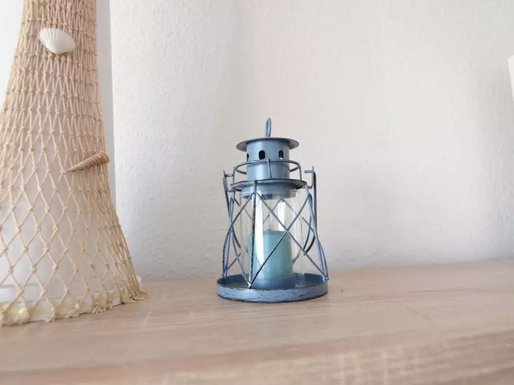 Location de Vacances Roses 565