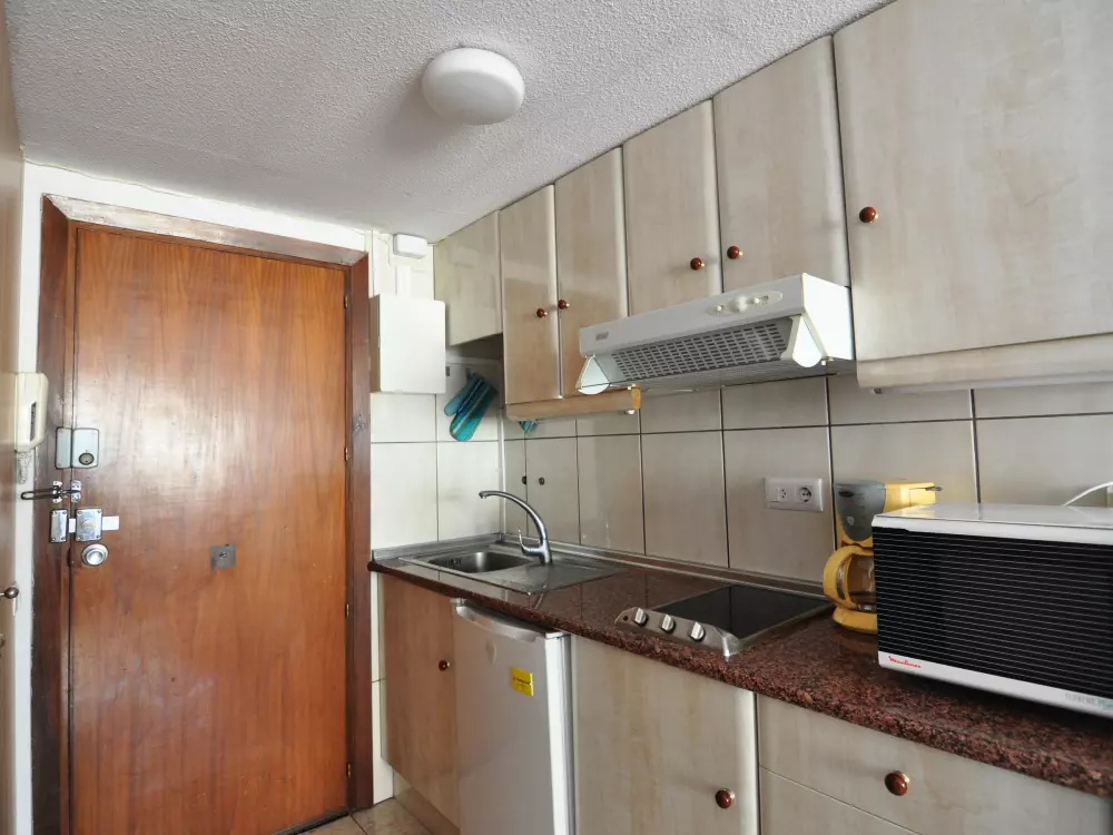 Location de Vacances Roses 565