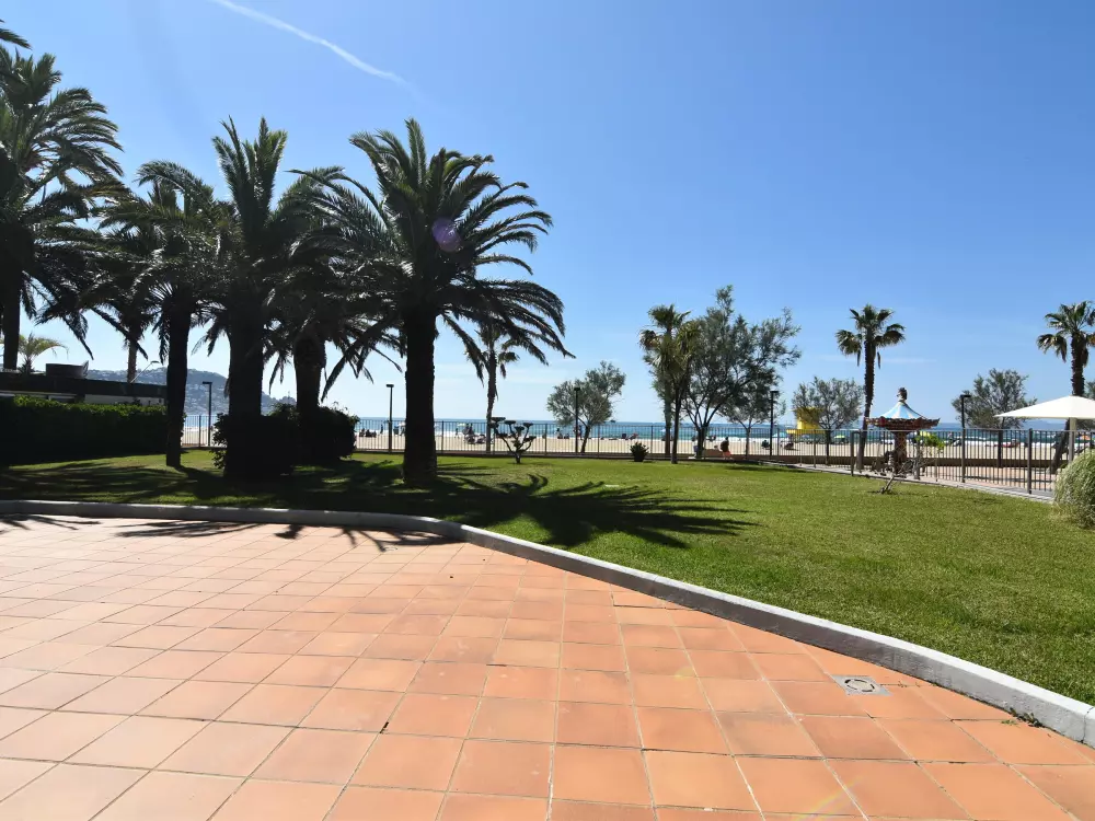 Location de Vacances Roses 565