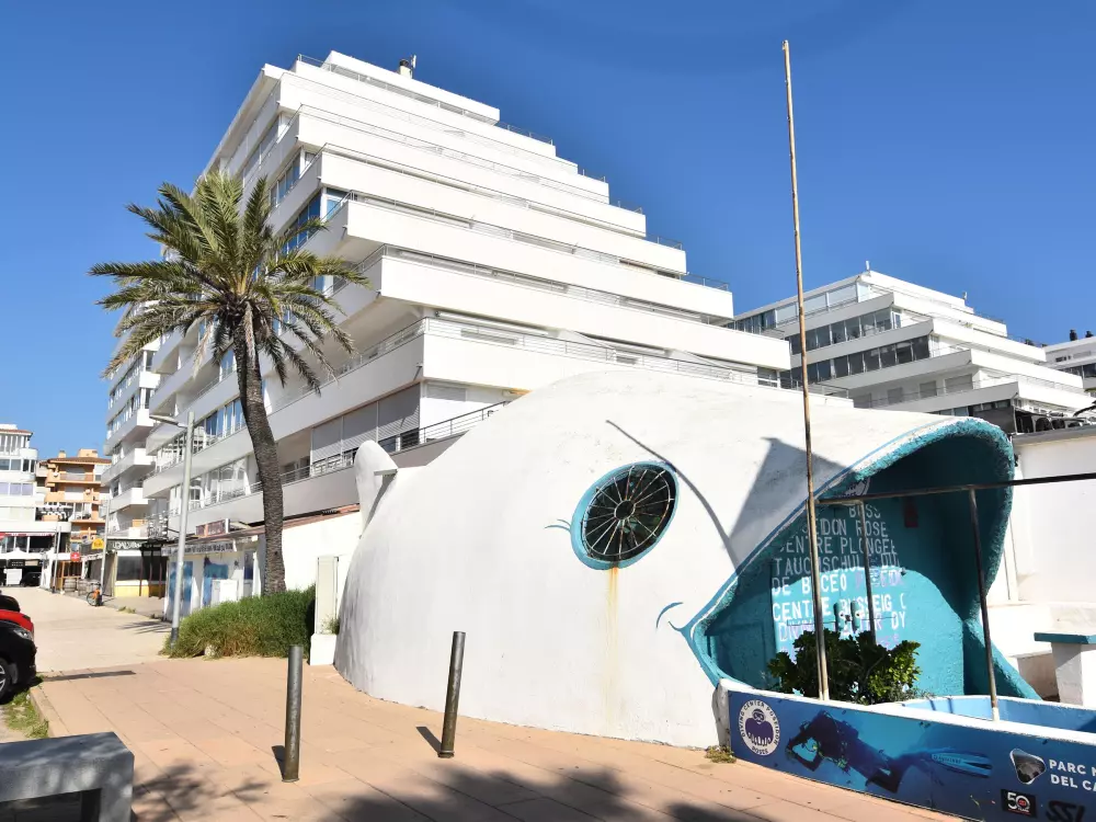 Location de Vacances Roses 565