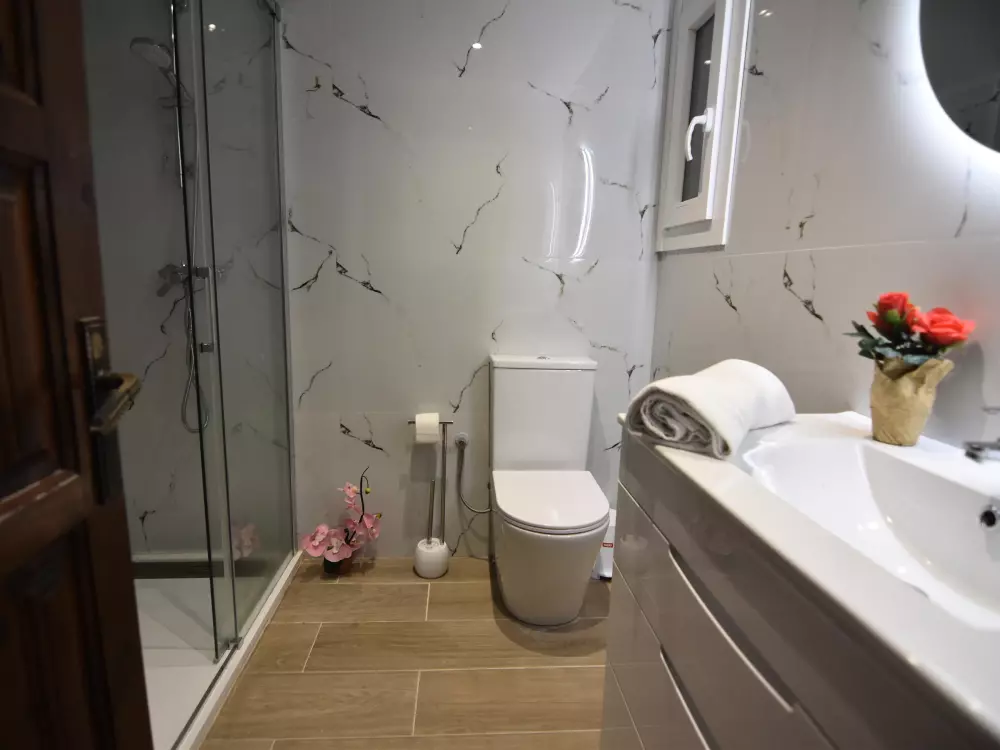 Location de Vacances Roses 574