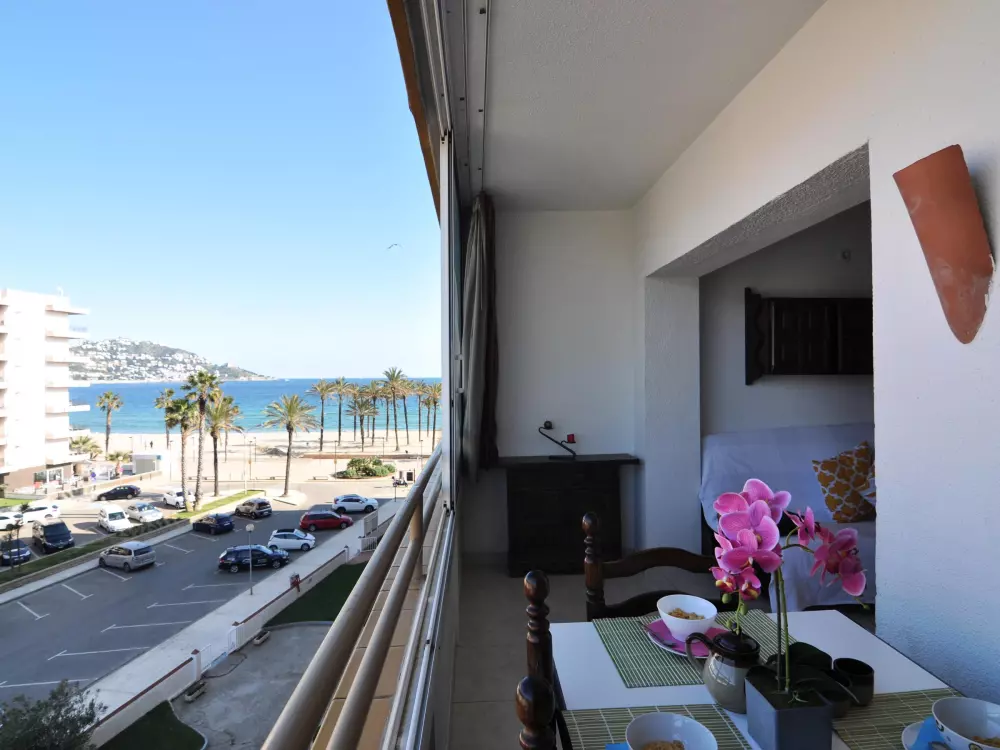 Location de Vacances Roses 579