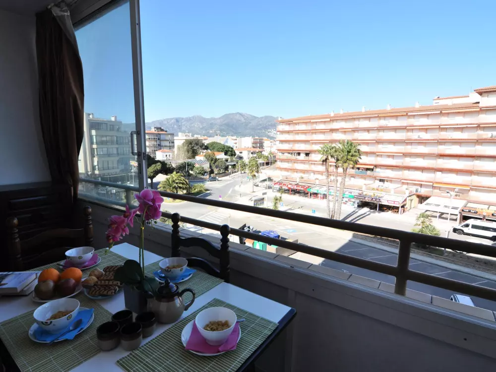 Location de Vacances Roses 579