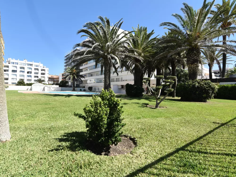 Location de Vacances Roses 579