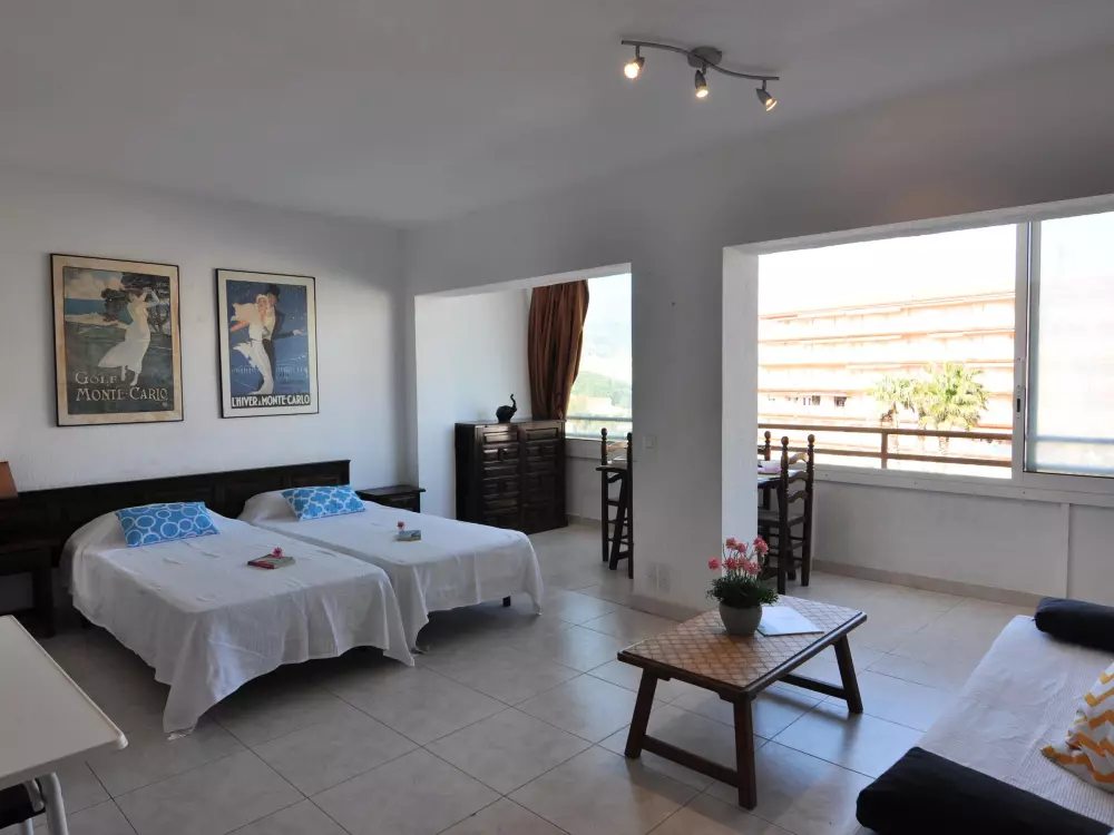 Location de Vacances Roses 579