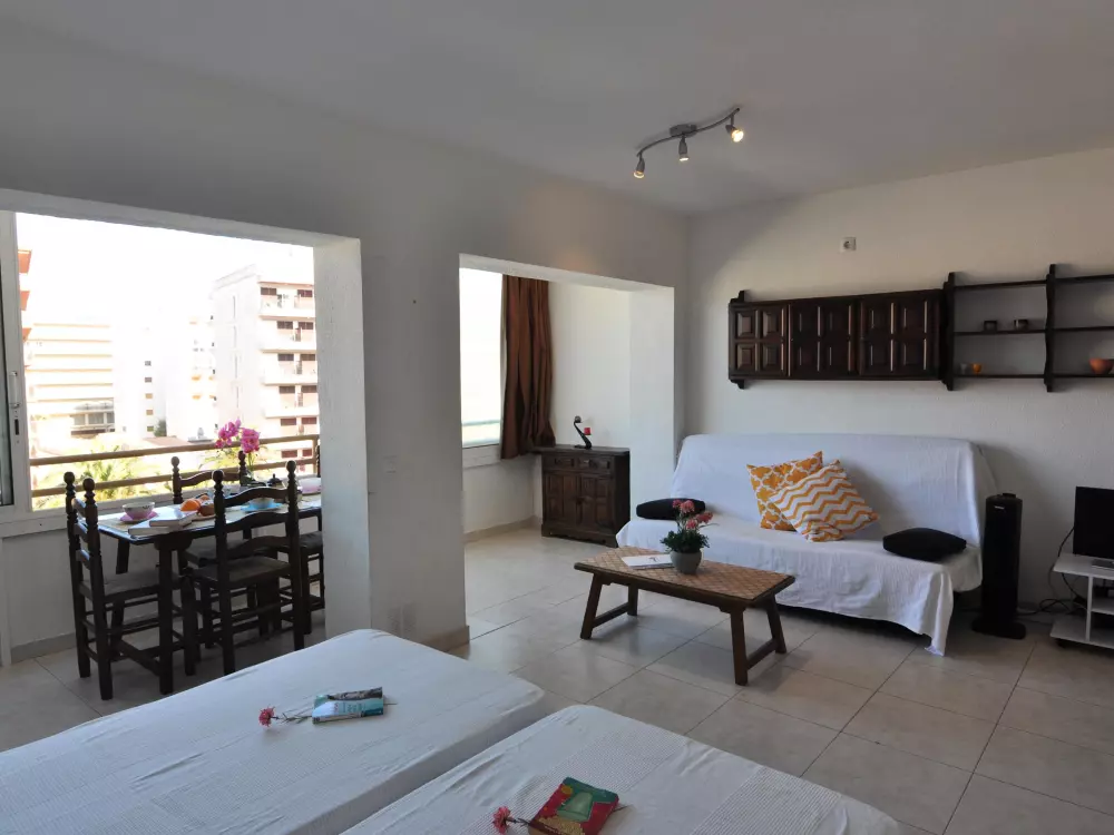 Location de Vacances Roses 579