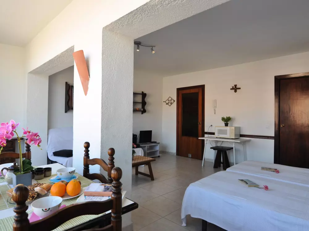 Location de Vacances Roses 579