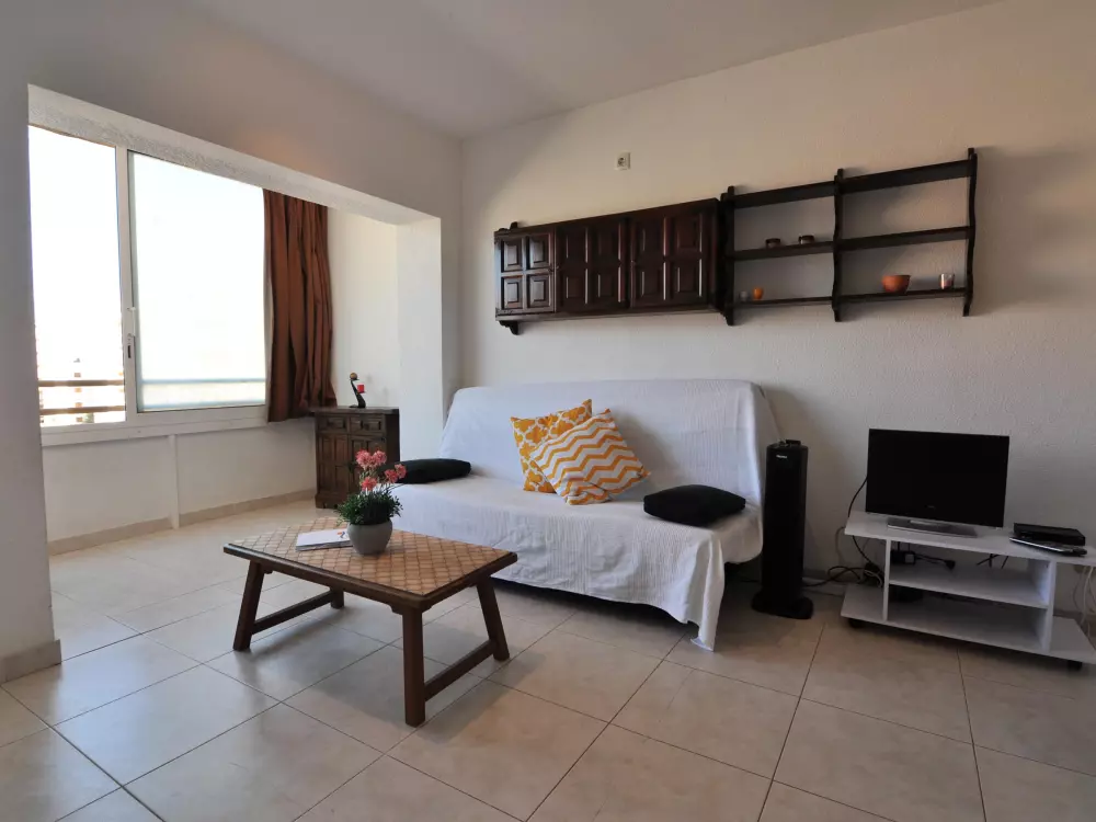 Location de Vacances Roses 579