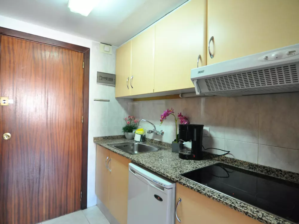 Location de Vacances Roses 579