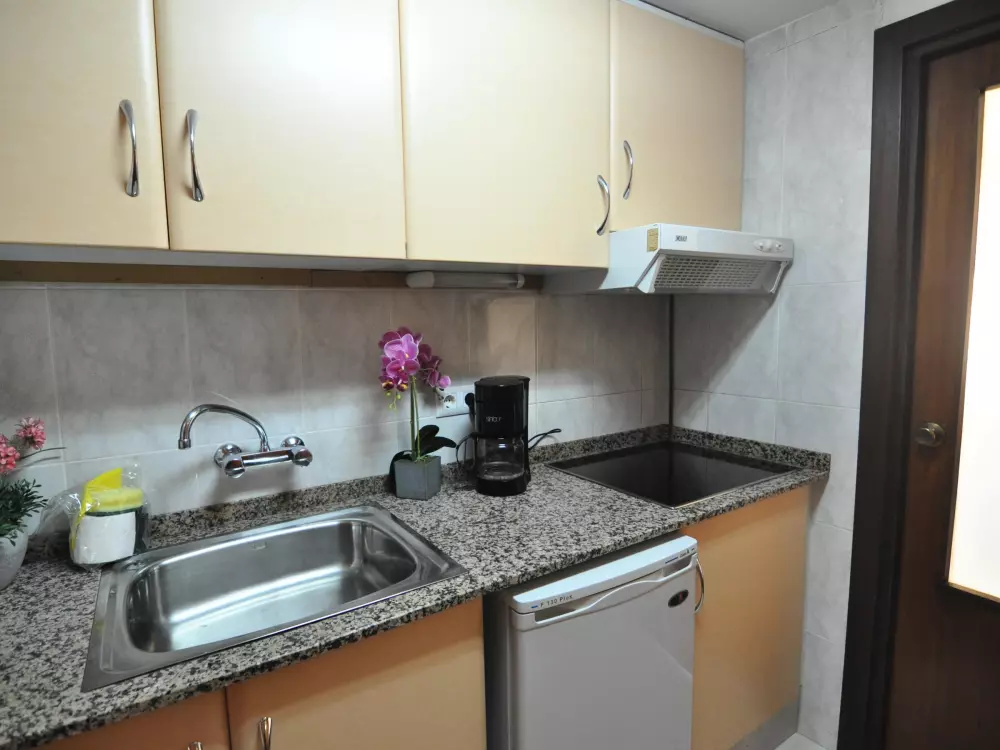 Location de Vacances Roses 579